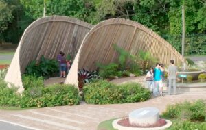 cercle de bamboo vegetalisation